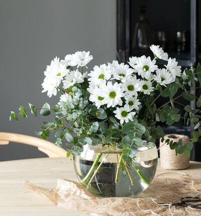 Fairtrade krysantemum hvit Fairtrade krysantemum hvit